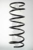 SPIDAN 85013 Coil Spring